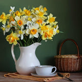 201pcs Mixed Daffodil Seeds - Outdoor Flowers - Rich Colors - Garden Terrace Potted Plant Flower Stand