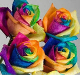 Rose Samen, 200Pcs