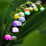 100 Stück/Beutel Samen, Umweltfreundlich, Lebendige Farben, Eingetopfte Convallaria Majalis-Samen Für Den Hausgarten, Samen Zum Pflanzen Jetzt Convallaria Majalis-Samen