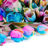 1 Beutel Tulpensamen, Produktive, Gentechnikfreie, Kleine, Fruchtbare, Farbenfrohe Blumensamen Für Den Garten, Jetzt Zum Pflanzen Tulpensamen
