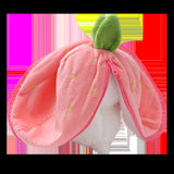 Fruit Transformed into to Fruit Rabbit Pillow Plush Doll Toy Girl Birthday Present Decoration 7.2Inch