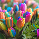 1 Beutel Tulpensamen, Produktive, Gentechnikfreie, Kleine, Fruchtbare, Farbenfrohe Blumensamen Für Den Garten, Jetzt Zum Pflanzen Tulpensamen