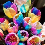 1 Beutel Tulpensamen, Produktive, Gentechnikfreie, Kleine, Fruchtbare, Farbenfrohe Blumensamen Für Den Garten, Jetzt Zum Pflanzen Tulpensamen
