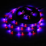 4M DC12V 19,2W 240 SMD 3528 Nicht wasserdicht Rot/Blau/Grün/Weiß/Warmweiß/RGB Flexibler LED-Streifen